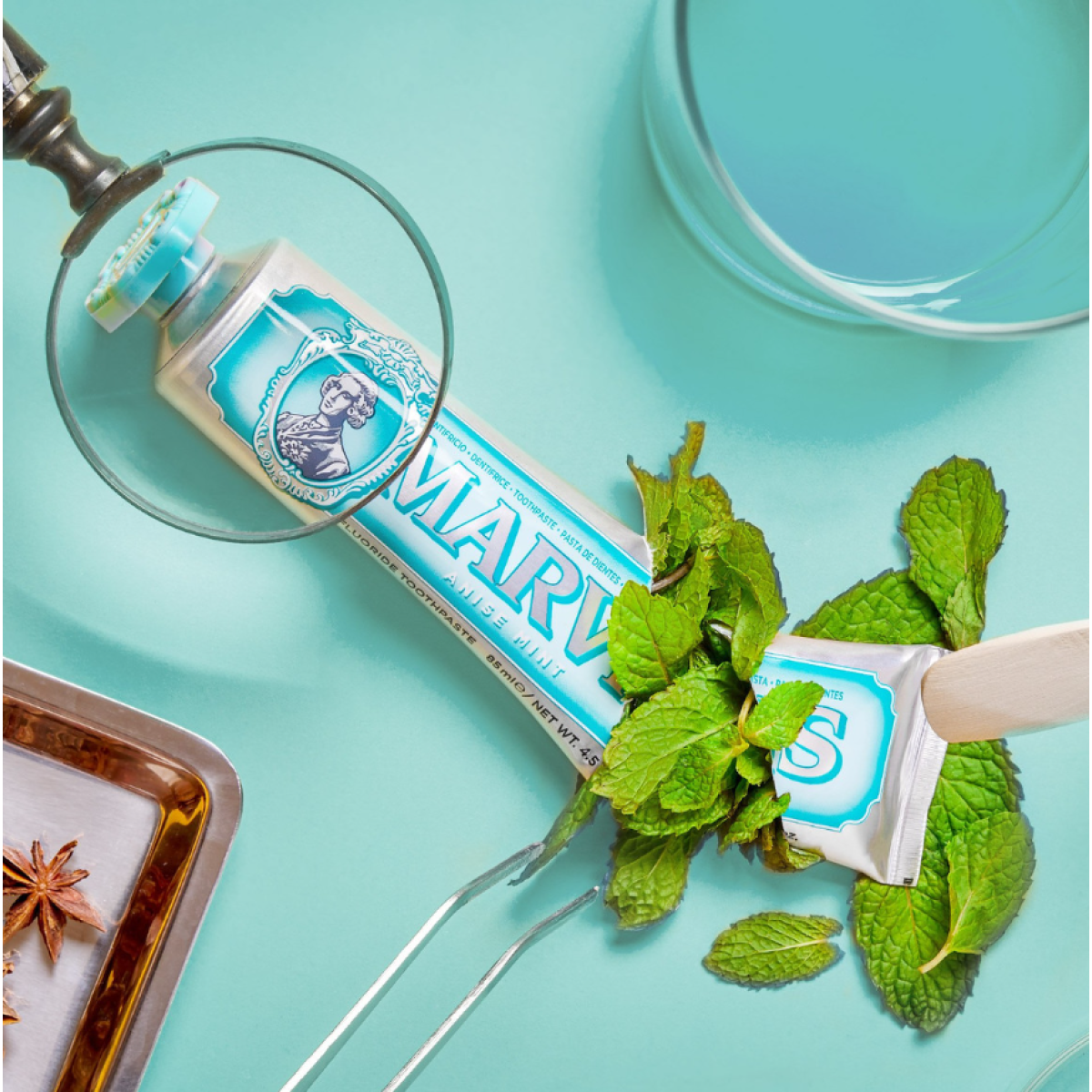 Зубна паста Toothpaste Anise mint