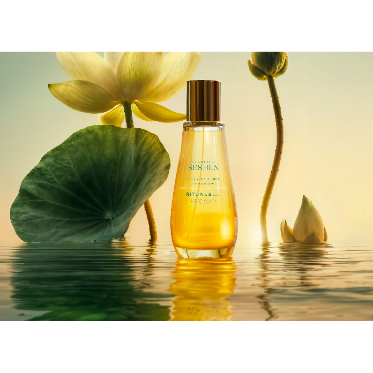 Подарунковий набір для тіла Body limited set Seshen